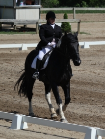 haflinger haflingers dressage ahr dorset dorsets sheep lamb lambs chickens plymouth rock rocks columbian barred silver penciled honeybees honey bees nucs german shepherds border collies michigan akc abca lesperance glaurung mi ohio oh